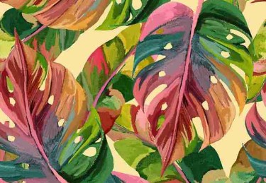 大赛内幕首次披露！每日大赛在线免费观看引发网友围观（326 ）