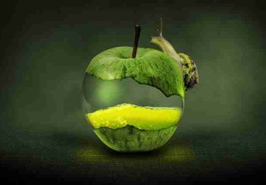 深夜爆更：每日大赛画面曝光引全网热议