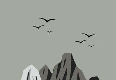 【事件轨迹】每日大赛今日各赛区风格差异比较，令人意外