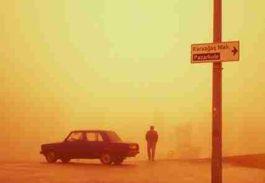 【独家揭秘】每日大赛国内技术统计全面解读