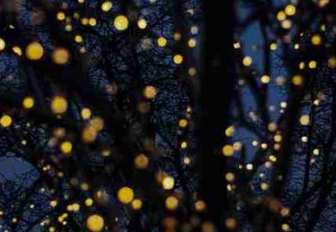 独家揭秘盘点：微密圈官网入口核心隐私保护说明及免费入口获取方法操作要点