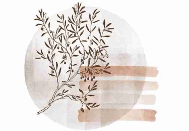 【专题导览】每日大赛在线免费观看直播弹幕节奏波动分析，高度还原