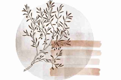 【专题导览】每日大赛在线免费观看直播弹幕节奏波动分析，高度还原