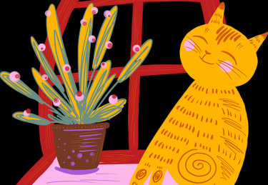 【超前解锁】每日大赛在线免费观看节目广告插入节奏复盘，视角独特