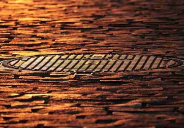 10分钟速览每日大赛官网幕后故事（高清回放）