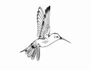 【实力剖析】每日大赛官网实时弹幕热评精选，点击率飙升