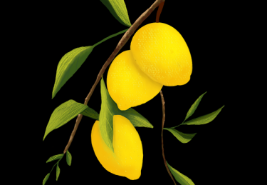 【趋势解析】每日大赛在线免费观看爆红选手数据拆解，节目组回应