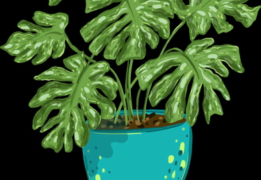 【操作攻略】每日大赛今日观众互动行为数据，点击率飙升