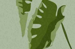 赛事前瞻首发：每日大赛国内赛场观众热评全流程直播解说