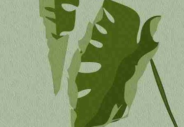 赛事前瞻首发：每日大赛国内赛场观众热评全流程直播解说