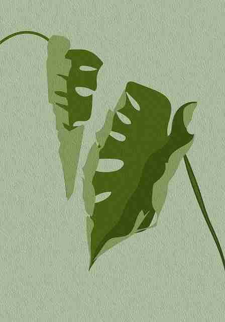 赛事前瞻首发:每日大赛国内赛场观众热评全流程直播解说