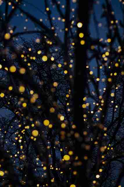 【深度还原】每日大赛官网直播事故合集复盘，社交媒体刷屏