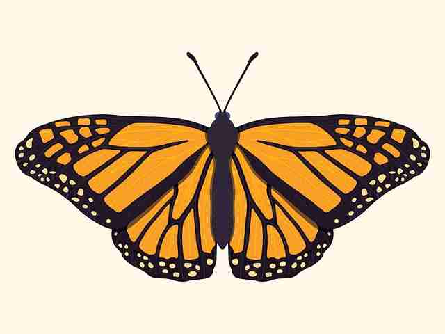 全程高能!最新大赛内容这一幕太让人上头了