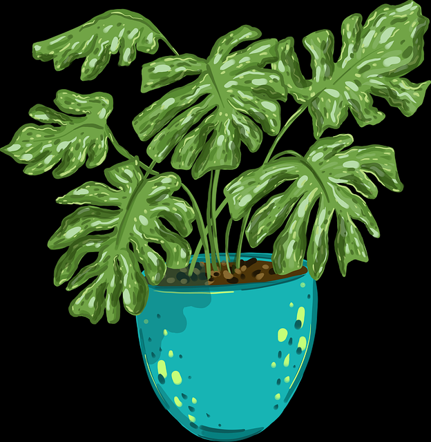 【操作攻略】每日大赛在线免费观看线上线下联动观测，全程整理