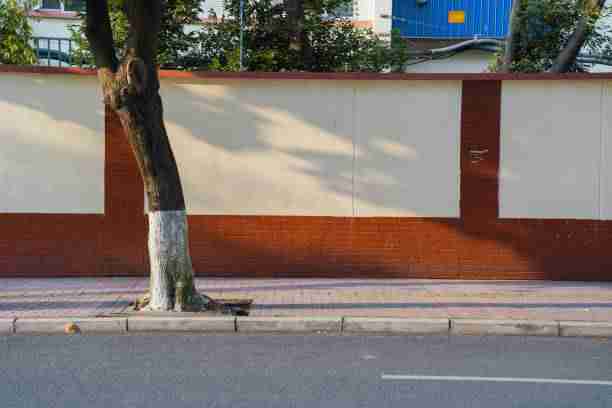 打破常规！大赛直播中的另类表现你服不服？