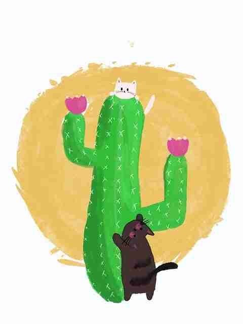 【解析】每日大赛实时战报滚动更新