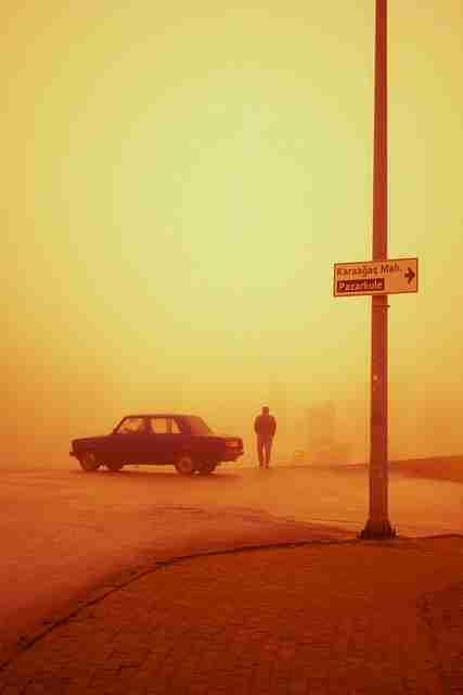 【独家揭秘】每日大赛国内技术统计全面解读