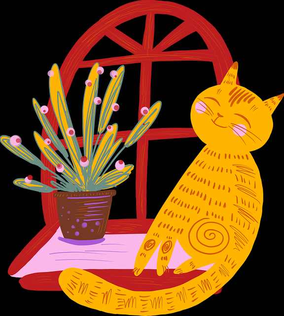 从观众角度拆解每日大赛今日黑马选手高清回放