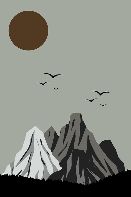 最新大赛内容转播平台对比测评，节目组回应